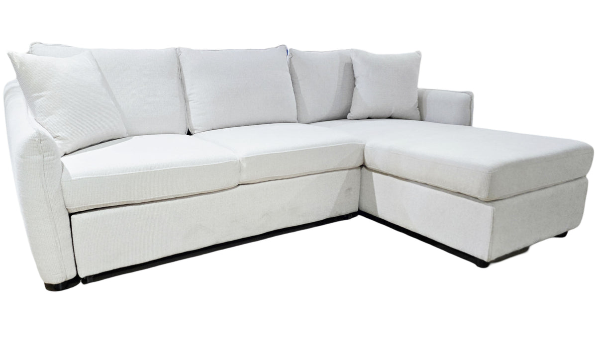 Rae 2 Piece Sleeper Sectional - MJM Furniture