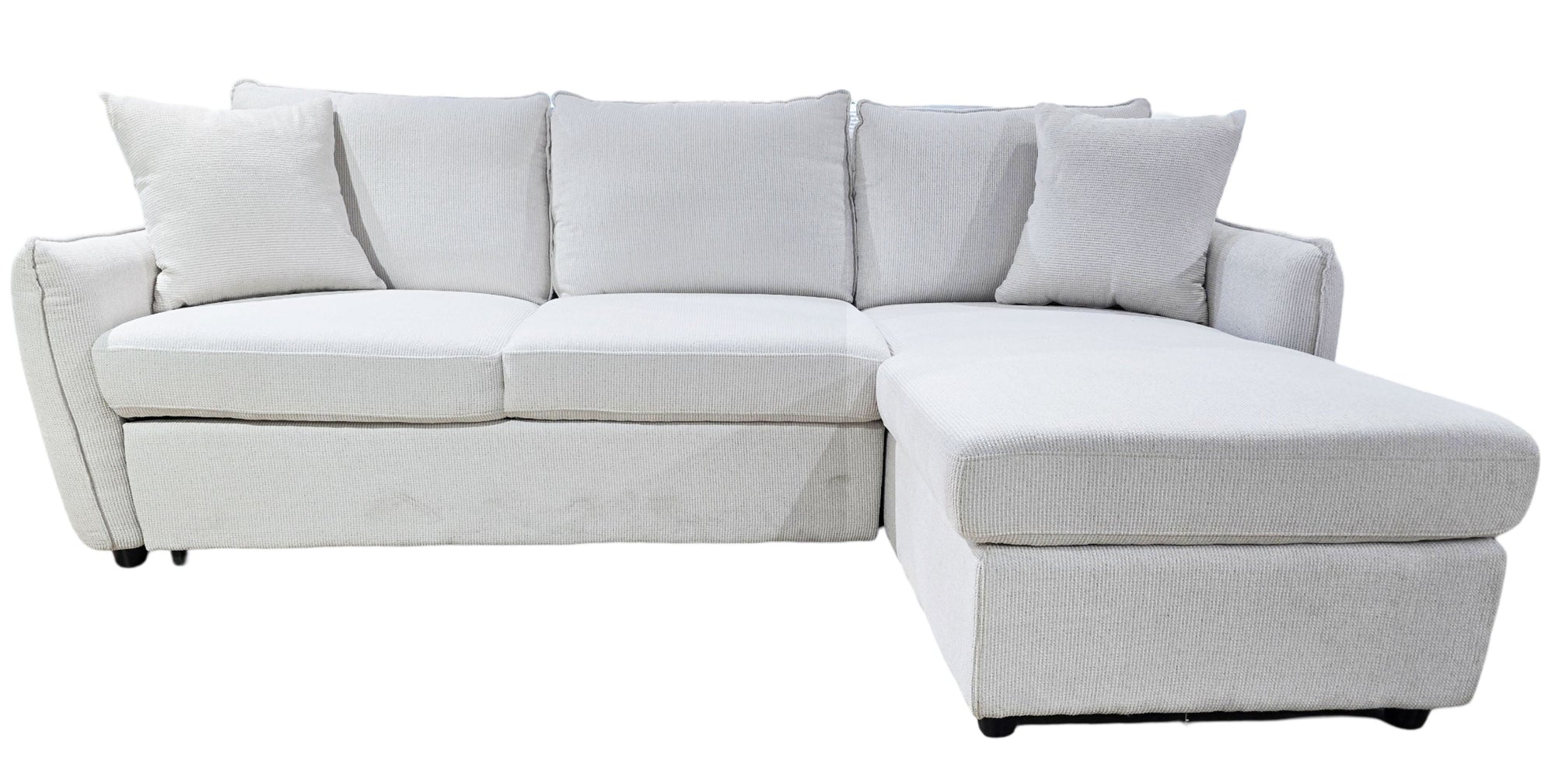 Rae 2 Piece Sleeper Sectional - MJM Furniture