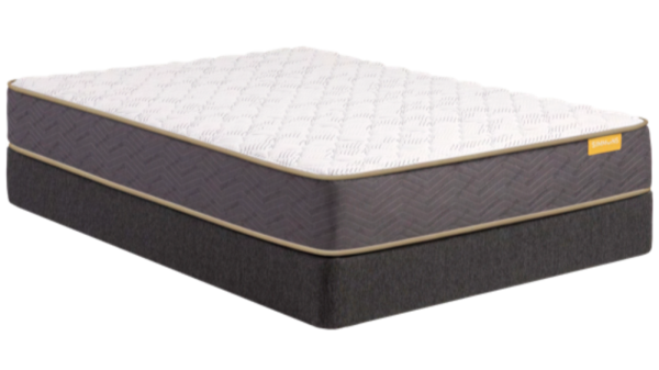 Simmons Deep Sleep Medium Queen Mattress - MJM Furniture