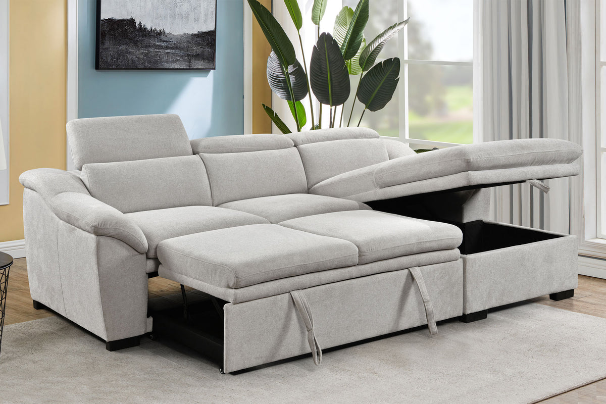 Zyon 2 Piece Sleeper Sectional - MJM Furniture